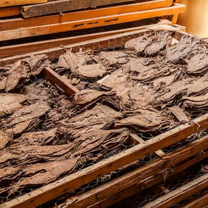 Esteli - Fabrique De Tabac A Découvrir au Nicaragua - Esteli