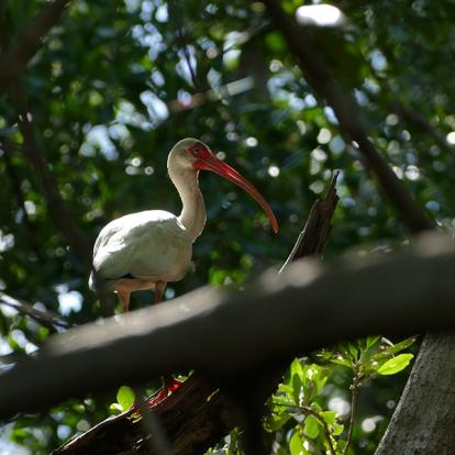 Isla Juan Venado A Découvrir au Nicaragua - Isla Juan Venado