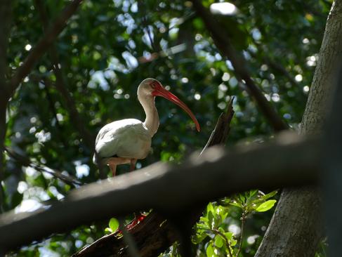 Isla Juan Venado A Découvrir au Nicaragua - Isla Juan Venado