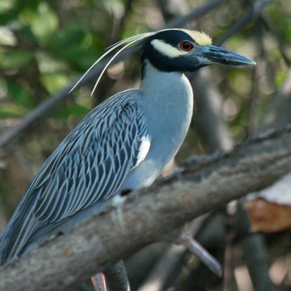 Isla Juan Venado A Découvrir au Nicaragua - Isla Juan Venado