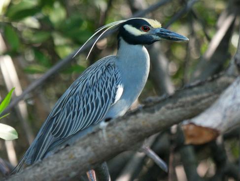 Isla Juan Venado A Découvrir au Nicaragua - Isla Juan Venado