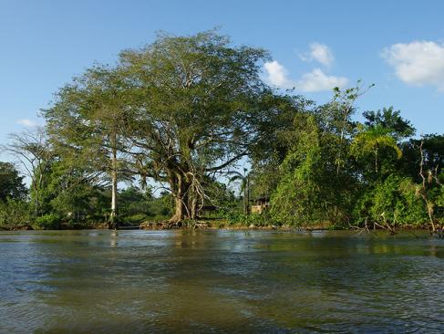 A Découvrir au Nicaragua - San Carlos