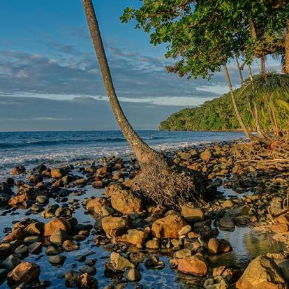 A Découvrir au Panama - Bocas del Toro