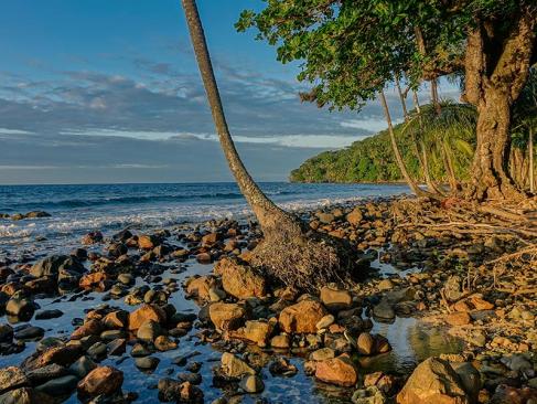 A Découvrir au Panama - Bocas del Toro