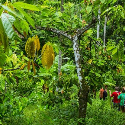 A Découvrir au Panama - Bocas del Toro
