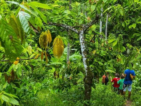 A Découvrir au Panama - Bocas del Toro
