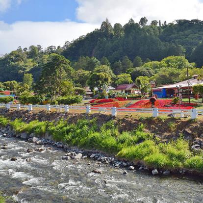 A Découvrir au Panama - Boquete