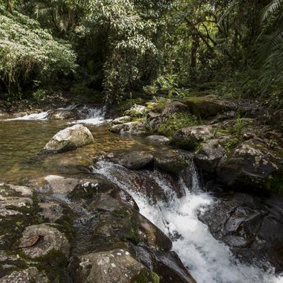 A Découvrir au Panama - Boquete