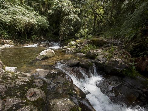 A Découvrir au Panama - Boquete