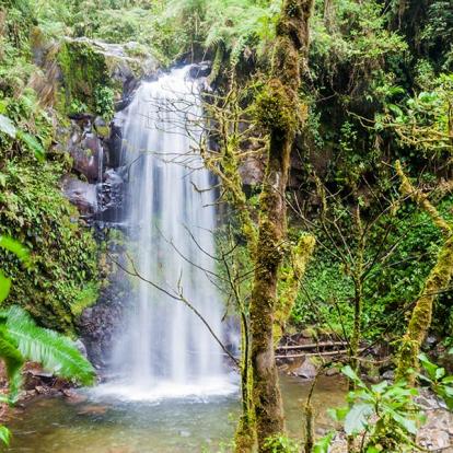 A Découvrir au Panama - Boquete