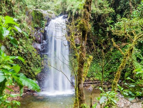 A Découvrir au Panama - Boquete