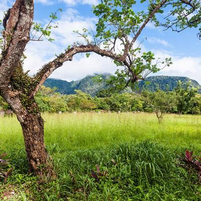A Découvrir au Panama - El Valle de Anton