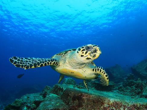 A Découvrir au Panama - L'Ile Coïba