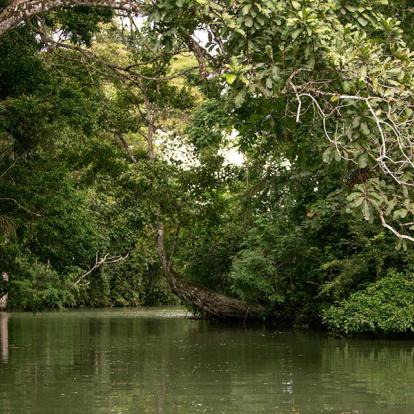 Lac Gatun A Découvrir au Panama - Panama City