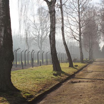 Auschwitz A Découvrir en Pologne - Auschwitz