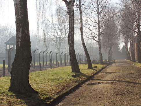 Auschwitz A Découvrir en Pologne - Auschwitz