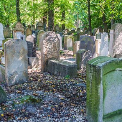 A Découvrir en Pologne - Cracovie