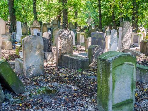 A Découvrir en Pologne - Cracovie