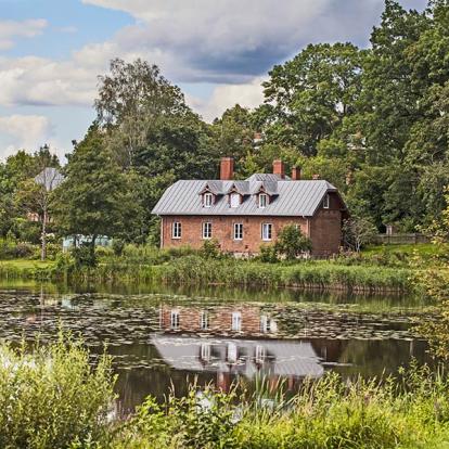 A Découvrir en Pologne - La Forêt de Bialowieza