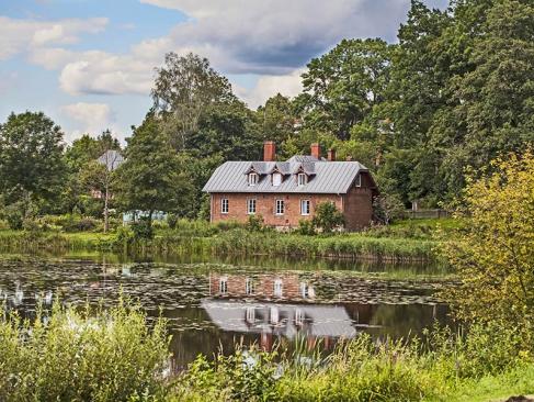 A Découvrir en Pologne - La Forêt de Bialowieza