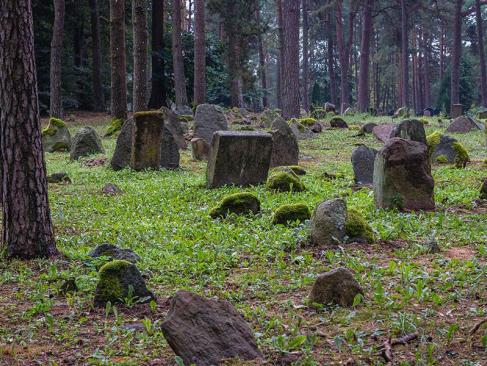 A Découvrir en Pologne - Kruszyniany