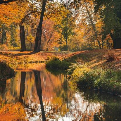 A Découvrir en Pologne - Parc de Muskau