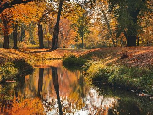 Parc Muskau A Découvrir en Pologne - Parc de Muskau