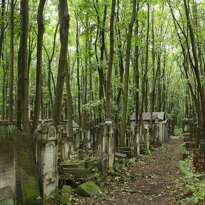 Varsovie - Cimetière Juif, Zydowski A Découvrir en Pologne - Varsovie