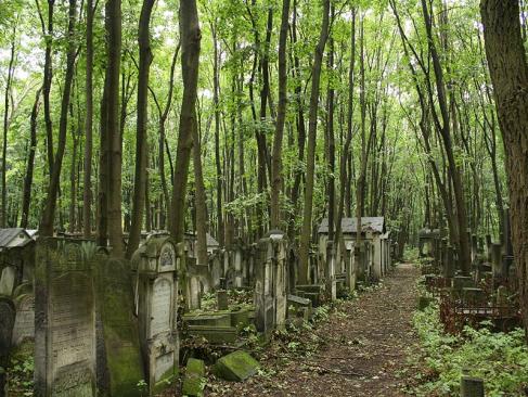 Varsovie - Cimetière Juif, Zydowski A Découvrir en Pologne - Varsovie