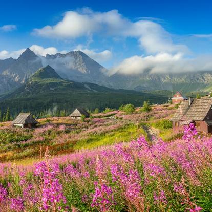 Zakopane A Découvrir en Pologne - Zakopane