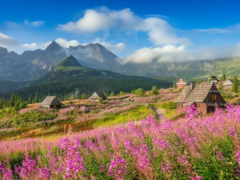 Zakopane A Découvrir en Pologne - Zakopane