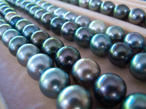 A Découvrir en Polynésie Française - Fakarava