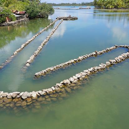 Huahine - Ancien Piège à Poisson Traditionnel Polynésien En Pierres A Découvrir en Polynésie Française - Huahine