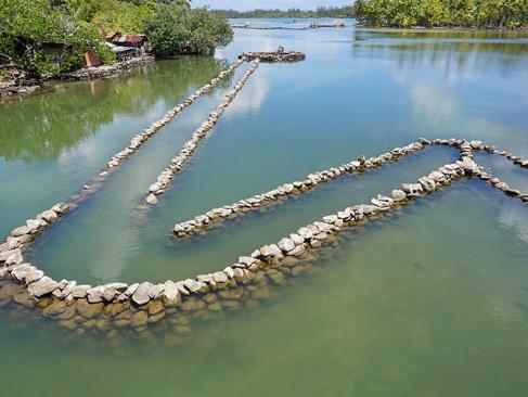 Huahine - Ancien Piège à Poisson Traditionnel Polynésien En Pierres A Découvrir en Polynésie Française - Huahine