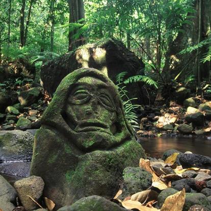 A Découvrir en Polynésie Française - Moorea
