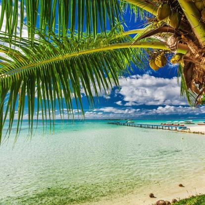 A Découvrir en Polynésie Française - Moorea