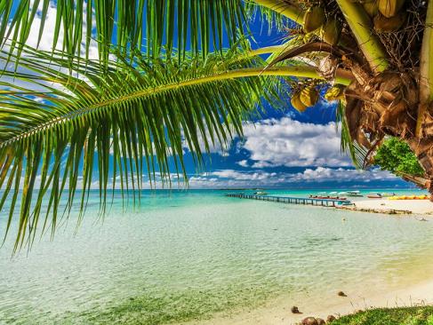 A Découvrir en Polynésie Française - Moorea