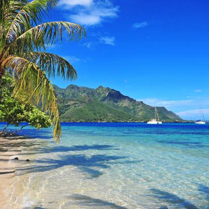 A Découvrir en Polynésie Française - Moorea