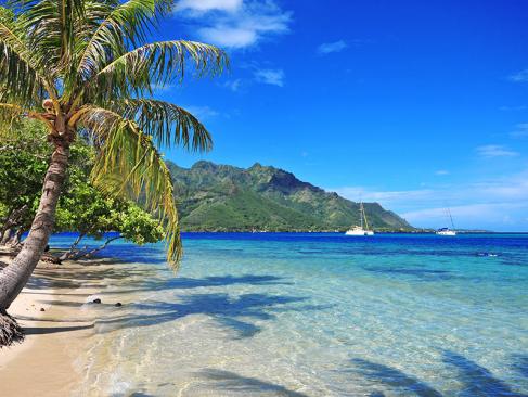 A Découvrir en Polynésie Française - Moorea