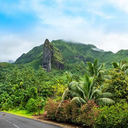 Raiatea A Découvrir en Polynésie Française - Raiatea