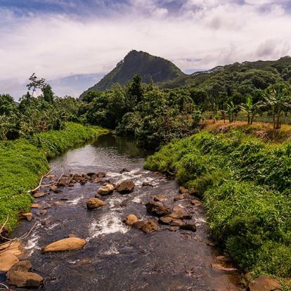 Raiatea A Découvrir en Polynésie Française - Raiatea