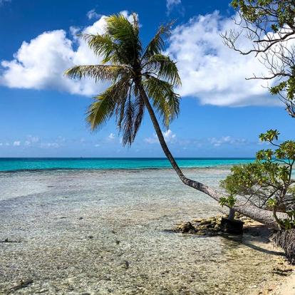 A Découvrir en Polynésie Française - Rangiroa