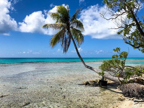 A Découvrir en Polynésie Française - Rangiroa