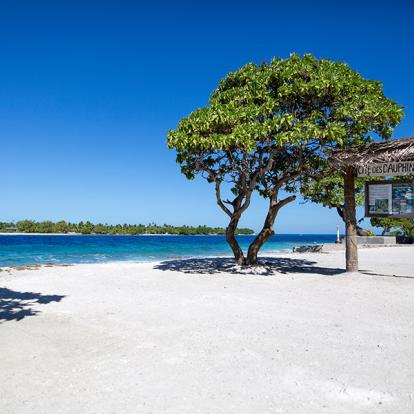 A Découvrir en Polynésie Française - Rangiroa