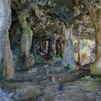 A Découvrir en Polynésie Française - Rurutu