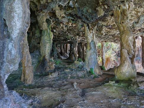 A Découvrir en Polynésie Française - Rurutu