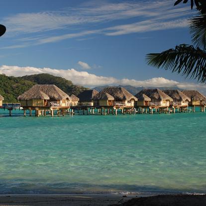 Tahaa A Découvrir en Polynésie Française - Tahaa