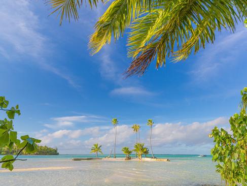 Tahaa A Découvrir en Polynésie Française - Tahaa