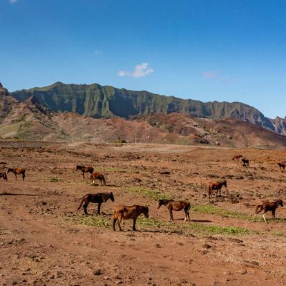A Découvrir en Polynésie Française - Ua Huka