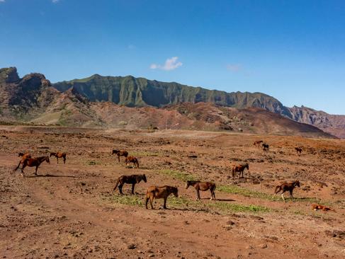 A Découvrir en Polynésie Française - Ua Huka